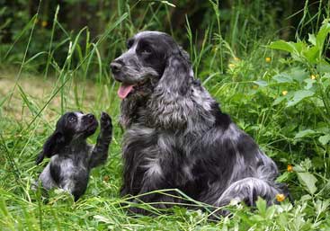 rencontre fenris