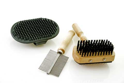 best grooming tools